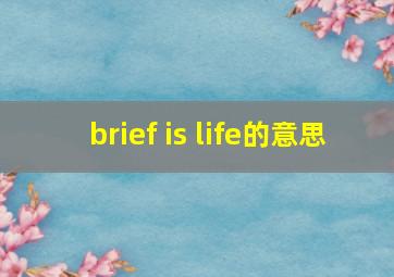 brief is life的意思